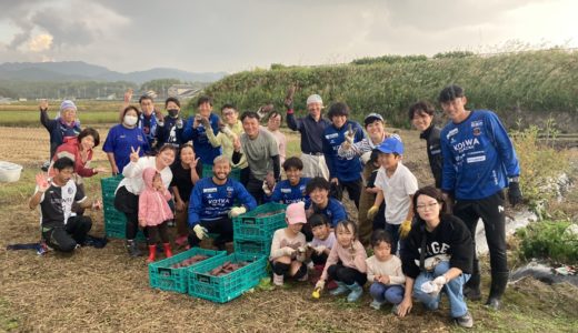 奈良クラブ農園サツマイモ収穫