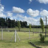 【クラファンの御礼】34歳、契約満了。 そこで選んだアルゼンチン。不退転の挑戦。